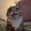 fizlittlebitretarded