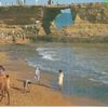 rashidmanzoor258