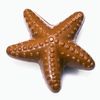 chocolate_starfishh99