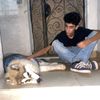 3lidiab
