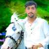 honimalik739