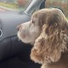 julia74nl