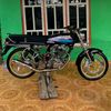 ipul_stellongor