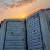nadji_bou7