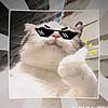 iqrfanfian_27