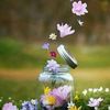 anoosha11220