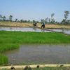 putrawengkerlor_99