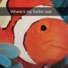 sodacow10