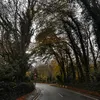 adamb_02