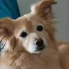machbs