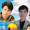 mdarifshorifuddin