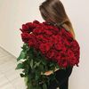 user30442157525336