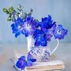 ihzalovely_0807