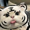 rrrriiiiiiiiiii57