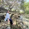nguyentonhuyenlinh