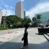 zean_mea