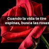 luciataco919