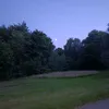 thiwlfebk