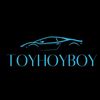 toyhoyboy.edit_backup