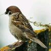 muhammed74843