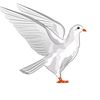 peaceforever123456