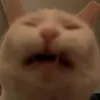 kibbykay