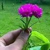 samracadey783gmail.com