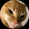 cassysalaza