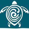 Sea Turtle Conservancy