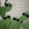 doktoremil