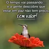 marthacristina2022