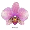 missflowers45