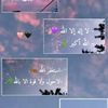 zinalaou553