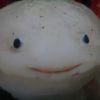 imanaxolotl7