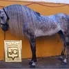 yeguadahermanoscortes