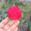 dacm_23