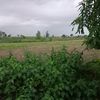 zhula21new