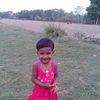 mdshahinmahmudneloy