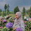 zazain__