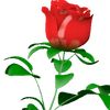 user9778720081153