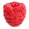 asianraspberry