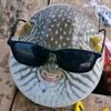 rendy_void0