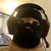 username19388373