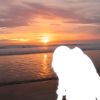 willinugraha28