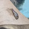 magical.m0rgan