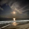 sarah_02442