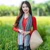 thaohoang2971
