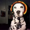 girafinha07
