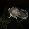 unknown__117__