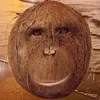 htyfjcdnnndj